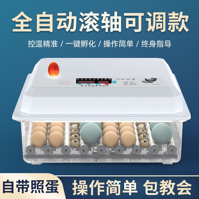 Incubator Small Home Automatic Rudding Chicken Pigeon Quil Peacock Incubator Incubator Incubator HatchersIncubator