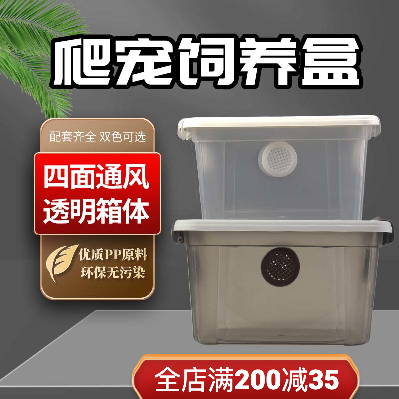 Crying the Castle Creep Prevents Escape BAO WEN Lactation Spider Horn Spider Scorpion R belong to the Casual Box