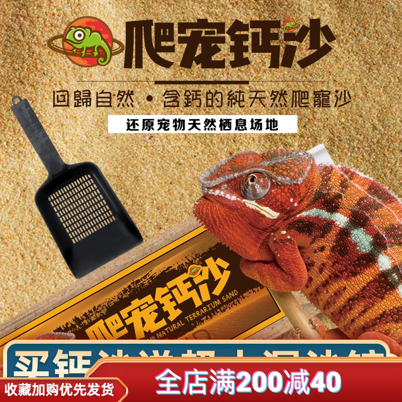 Reptile sand mat climbing pet sand Calcium sand Reptile calcium sand Palace sand maned lion lizard climbing sand feeding box Landscaping sand