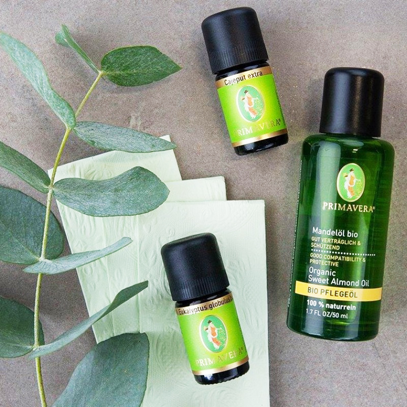 DIY series German PRIMAVERA winter cold cold cold cold runny massage oil Eughali