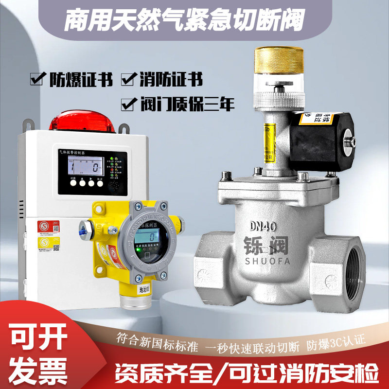 Industrial Commercial Hotel Kitchen gas electromagnetic Emergency Cut-off Valve Gas Pipeline solenoid valve DN25 50-Taobao