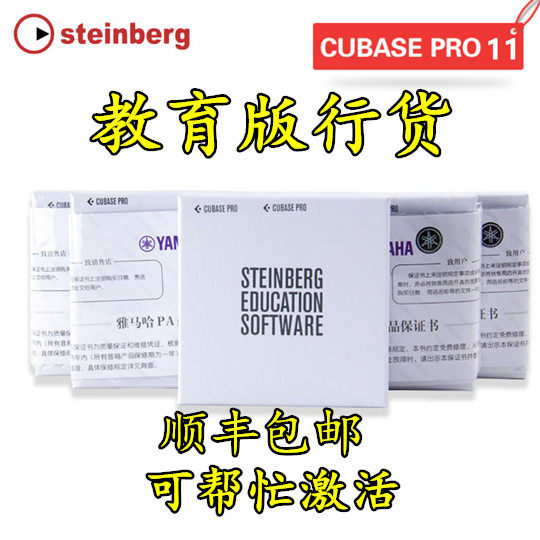 Steinberg Cubase pro 11 arranger recording and mixing music production software licensed for education