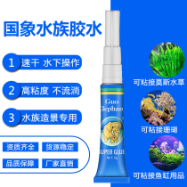 Guoxiang glue grass Moss coral skeleton sticky stone fish tank scenery sediment aquarium for water