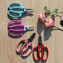 Floral scissors for flower arranging ikebana shears wide-headed gardening household flower shears branch pruning and pruning tools