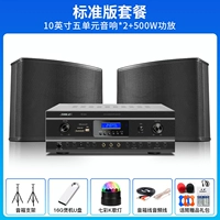 Мегафон, колонки для влюбленных, усилитель, 500W