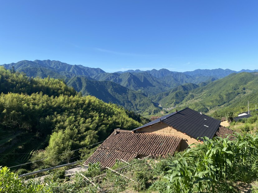 范儿森服饰