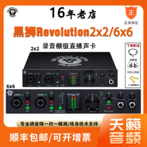 黑狮Black Lion Revolution 2x2 6x6专业录音编曲直播K歌外置声卡