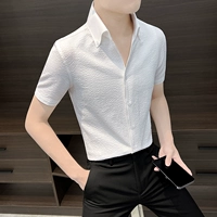 Белый, короткий рукав