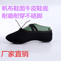 Chinese ballet body cat claws two soft-soled daughter childrens dance men and women practice adult yoga body shoes