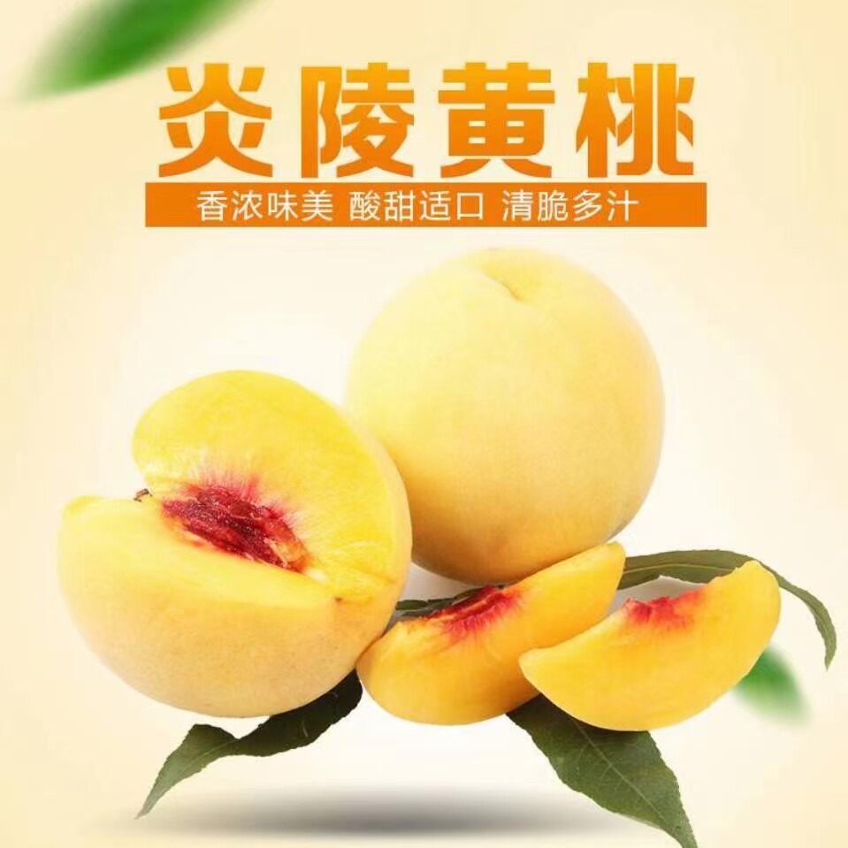 炎陵黄桃  桃农农人店