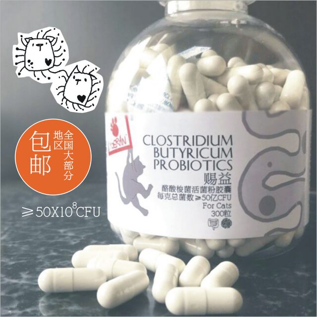 Cat Ciyi Capsule Cat Clostridium Butyricum Probiotic Soft Feces Cat ຖ່າຍຍາກ ຖ່າຍຍາກ Indigestion Regulation Gastrointestinal