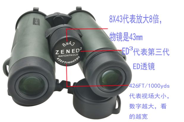 ZENRAY ZEN-RAY 8X43ED 10X43ED hợp kim ống nhòm chứa đầy nitơ rỗng - Kính viễn vọng / Kính / Kính ngoài trời ong dom