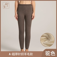 Верблюд A-Ladies [модель шерсти ультра-толстого игольчатого плетения]