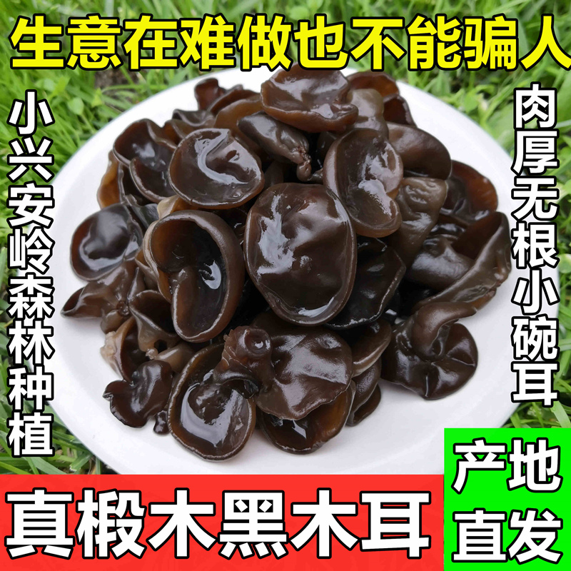 Heihe specialty Northeast basswood black fungus small Bowl ear dry goods Xiaoxing'anling Super autumn fungus 500g thick 500g