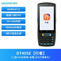 Dt40se [два -димерные+2 ГБ+16 ГБ] Walkman