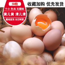 Jiuhua food products Yamanashi Scattered Earth Eggs 50 Farmyard Scattered Fresh Grass Eggs packet Shunfeng