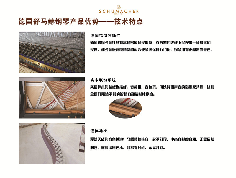 Tô Châu thương hiệu cho thuê / cho thuê đàn piano SCHUMACHER / Schumacher SCH-02A 300 nhân dân tệ / tháng piano casio
