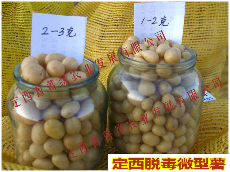菁菁缘农业发展有限公司