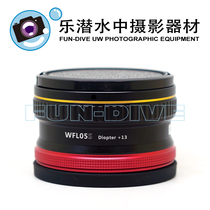 Weefine 13 plug-in jin she jing