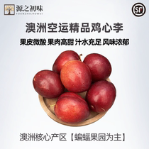Australian Boutique Airlift Chicken Hearts Li Fresh to Cargo Baton Orchard Spot Shunfeng Airlift Crisp Sweet