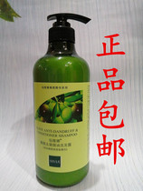 Senvinina olives to crumb the ovens shampoo moisturizing and moisturizing the male and female household students shampoo