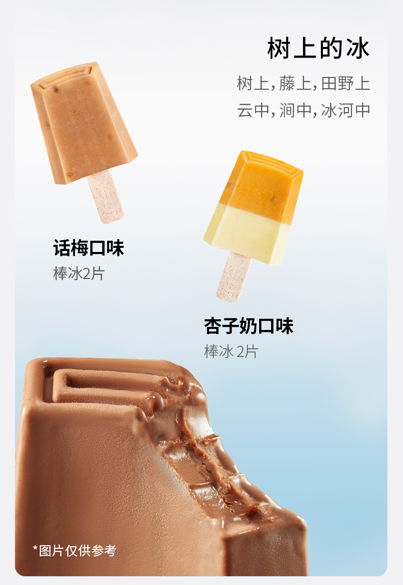 钟薛高 一个不能少系列 5口味10片+2只 图4