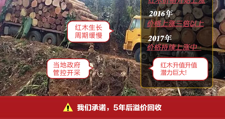 Ju Bo Shi đồ nội thất bằng gỗ gụ Burmese gỗ hồng mộc Zhongtang Trung Quốc trường hợp gỗ gụ cổ trường hợp Ganoderma lucidum ghế Tám người bất tử kết hợp bàn - Bàn / Bàn bàn gỗ xếp