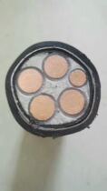 25 square 2 3 4 5 core power wire and cable ZR-YJV VV3*25 1*16 square flame retardant copper core