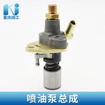 Air-cooled diesel engine fuel injection pump assembly single cylinder diesel Power pump 173F178F186F178F188F192F