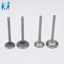 Valve Kit 170173178186188190192 air-cooled diesel engine accessories in the row of cylinders