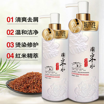 Household fresh Amoy rice water shampoo for men and women Anti-dandruff anti-itching oil control shampoo Fluffy perfume shampoo