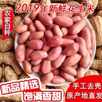 (20 years of new Peanuts) dried peanuts with Shell Raw peanuts naturally dried raw peanuts