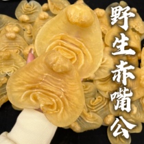 Yingying Fish glue |ye raw baremouth Gongglue comprehensive efficacy type nourishing one of the five famous glues for pregnancy month of pregnancy