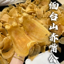 Yingying Fish Maw｜Myanmar~Taishan Chizuigong High-quality five famous fish maws with comprehensive effects and maintenance-type fish maws