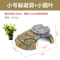 Duplex Dan Terrace Trimeed Basic Package