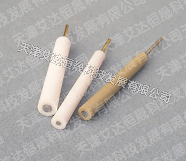 T 天津艾达恒晟 银电极 定制 原厂直接发货