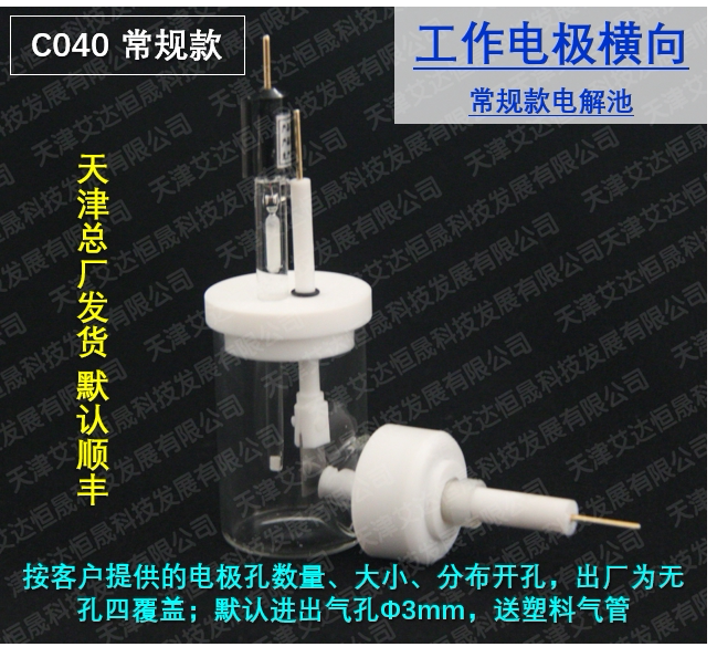 T 天津艾达恒晟 工作电极横向 C040常规/C040-S密封 原厂发货