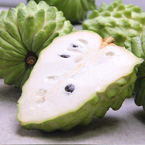 Thailand Big Eye Custard Apple 5 pounds fresh fruit seasonal pregnant women and children cherimoya Ringo Buddha head gift box SF