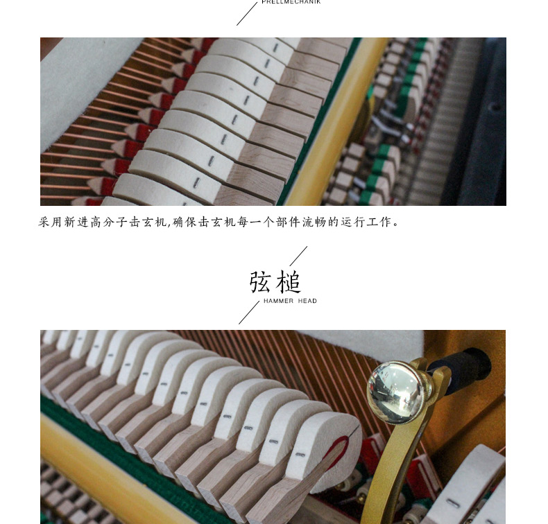 Pearl River New Ritter Miller Crown Series Dọc đàn piano mới Hiệu suất cao cấp 88 Key Piano LS-5 yamaha p85