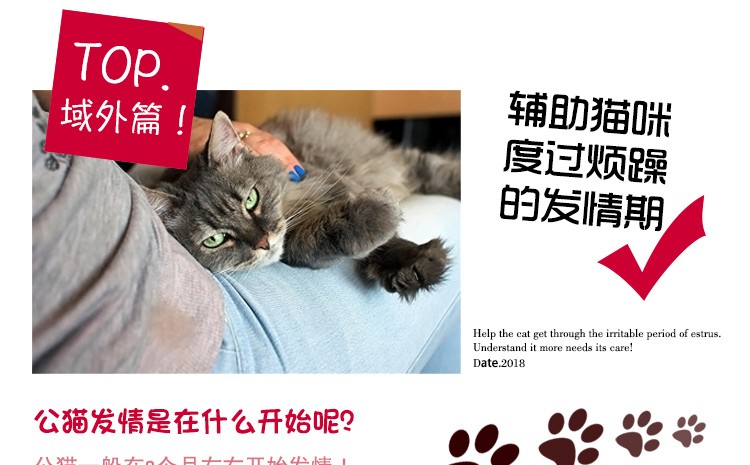Mèo đực, trầm cảm, động dục, ức chế động dục mèo, khử trùng mèo, mèo, tĩnh, ổn định, huýt sáo, la hét, đi tiểu - Cat / Dog Health bổ sung sữa cho chó mẹ