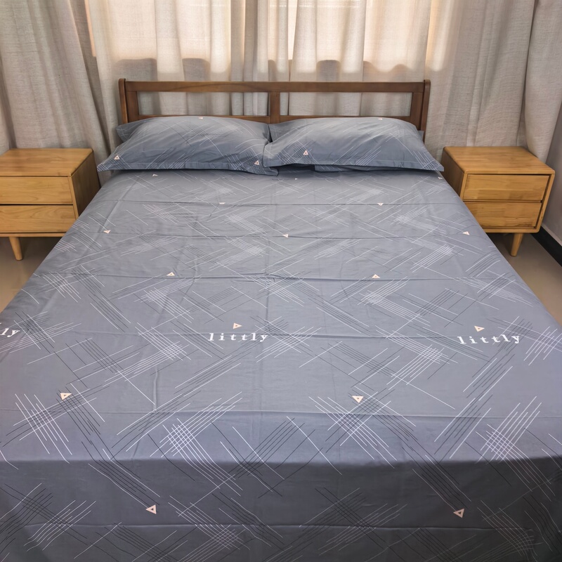 Single Piece Pure Cotton Bed Sheet, All-Season, Skin-Friendly Fabric, Cartoon Design, 1.2M/1.5M/1.8M, Single/Double, Student Dormitory
