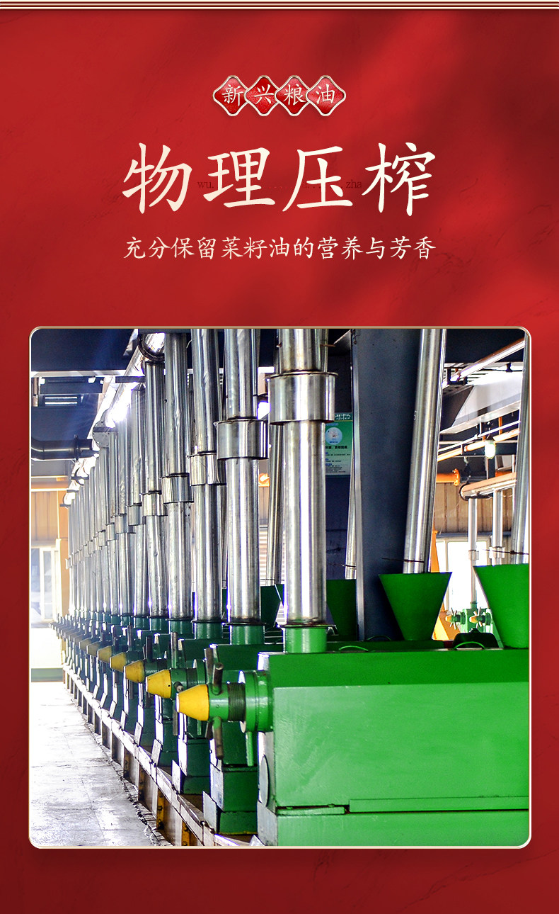 新兴粮油 浓香压榨 非转基因菜籽油 4.68L 图5