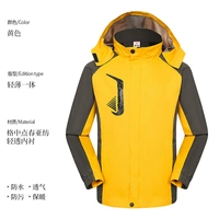 Желтая весна и осень тонкий стиль