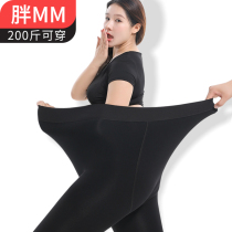 Fat mm plus fat plus size black stockings do not drop gear leggings womens spring and autumn thin models 200 jin outside wearing medium and thick pantyhose