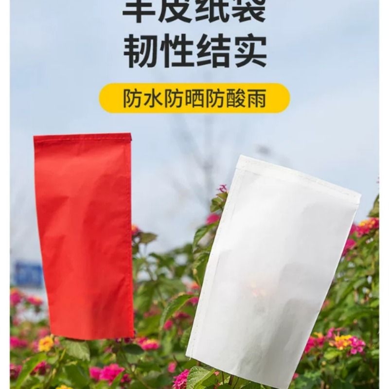 Supply of Parchment Paper Bags, Sulfuric Acid Paper Bags, Plant Parchment Paper, Wheat and Corn Hybrid Pollination Bags, Seed Bags Supply of Parchment Paper Bags, Sulfuric Acid Paper Bags, Plant Parchment Paper, Wheat and Corn Hybrid Pollination Bags, Seed Bags
