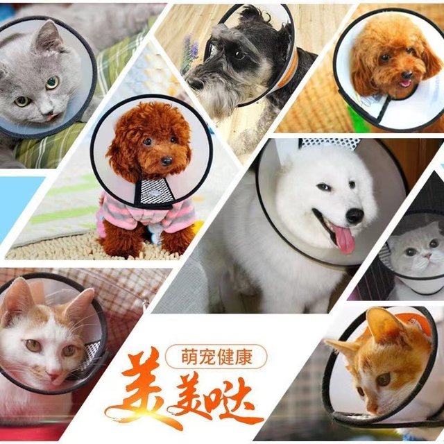 Elizabeth collar cat headgear sterilization collar anti-licking cat collar collar dog ສັດລ້ຽງ Elizabeth collar collar ຕ້ານການກັດ