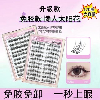 Large-capacity glue-free and removal-free ten rows of large-capacity false eyelashes