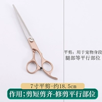 7 -INCH PREGHT CUT [Обрезка фигура]