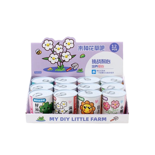 植物盆栽生日创意礼品小学生植物儿童伴手礼幼儿园奖品实用小礼品