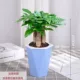 Высокий бассейн с синей водой+Трехно -шот